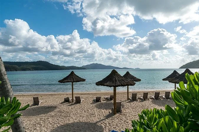 Thatched umbrellas and sun loungers on Catseye Beach, Hamilton Island, facing calm water and the islands beyond