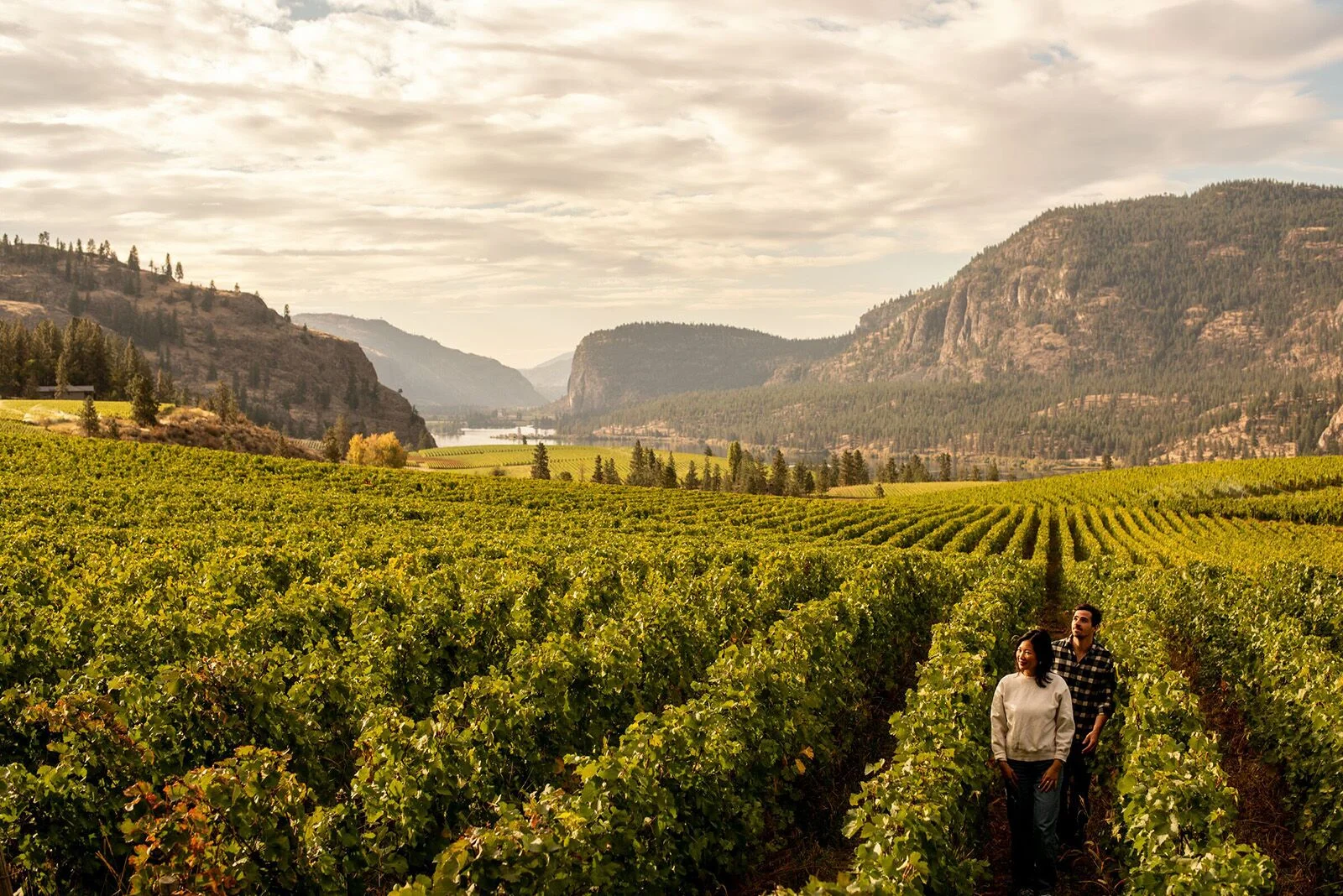 Exploring Kelowna: Canada’s First UNESCO Creative City of Gastronomy
